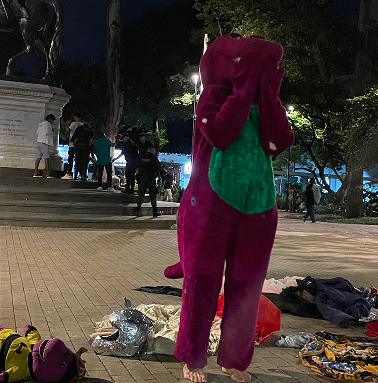 Descripción imagen 1