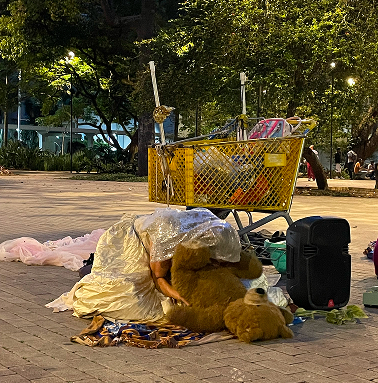 Descripción imagen 2