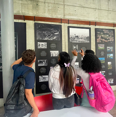 Descripción imagen 5