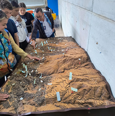 Descripción imagen 1